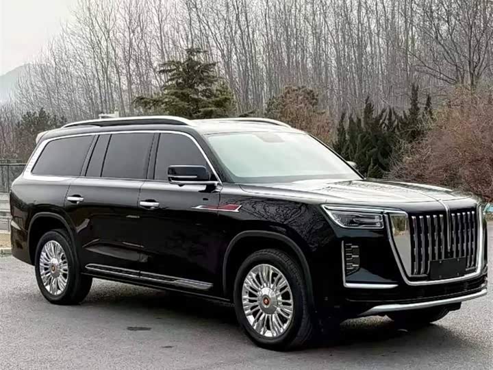 Hongqi LS7 (Guoyao) 2022 2022款 4.0T 尊爵旗舰版 4座