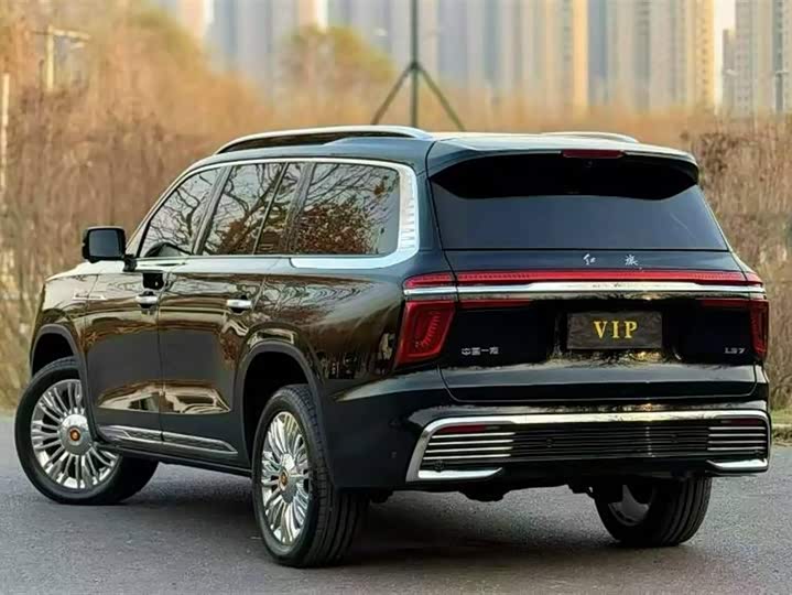 Hongqi LS7 (Guoyao) 2022 2022款 4.0T 尊爵旗舰版 4座