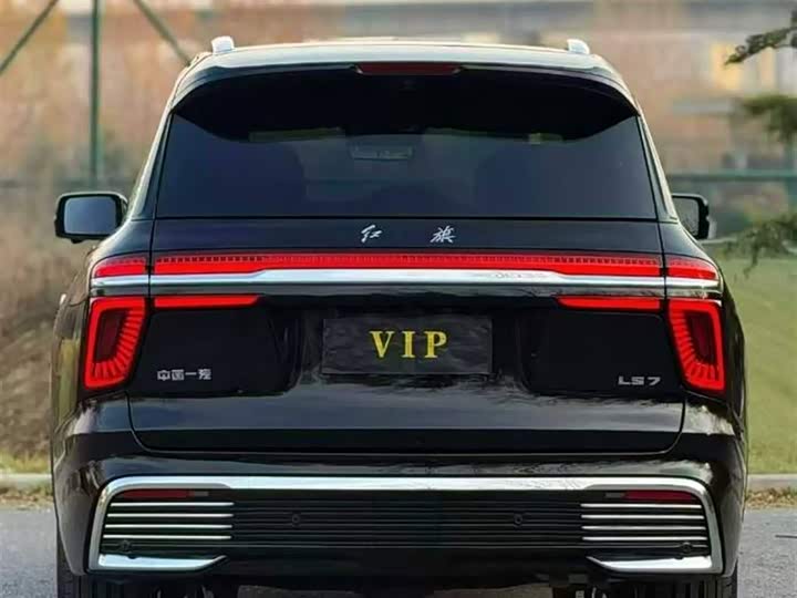 Hongqi LS7 (Guoyao) 2022 2022款 4.0T 尊爵旗舰版 4座