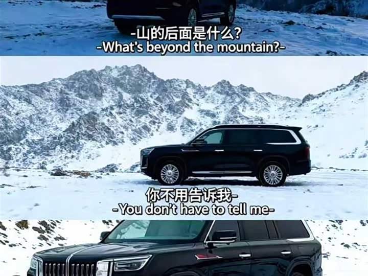 Hongqi LS7 (Guoyao) 2022 2022款 4.0T 尊爵旗舰版 4座