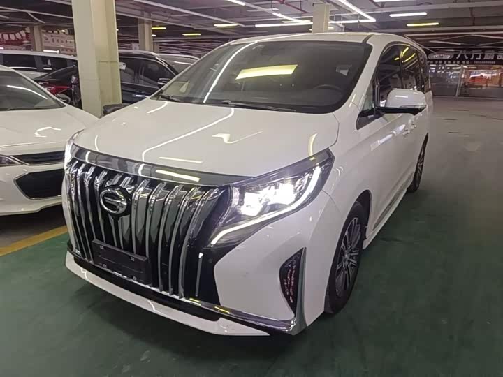 GAC Trumpchi M8 2021 2021款 领秀系列 390T 至尊版