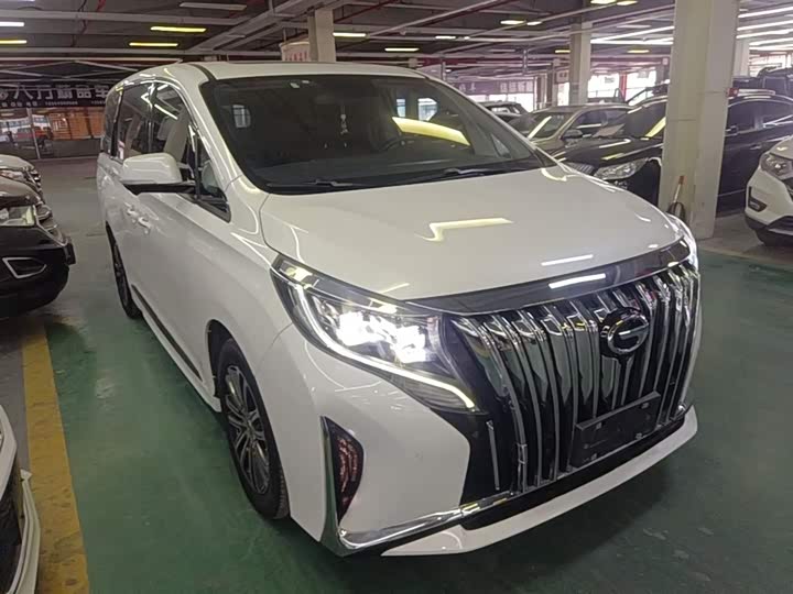 GAC Trumpchi M8 2021 2021款 领秀系列 390T 至尊版