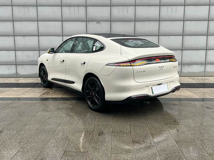Zdjęcie 9 - IM motors LS6