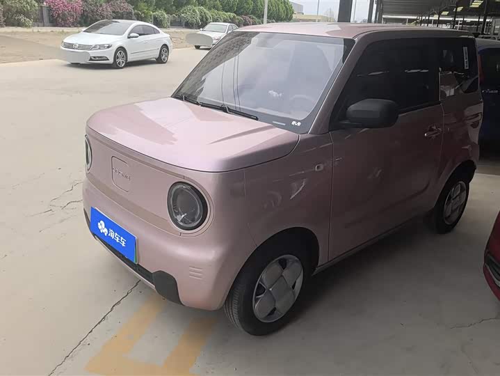 Geely Galaxy Panda Mini 2023 2023款 熊猫mini 200km 耐力熊