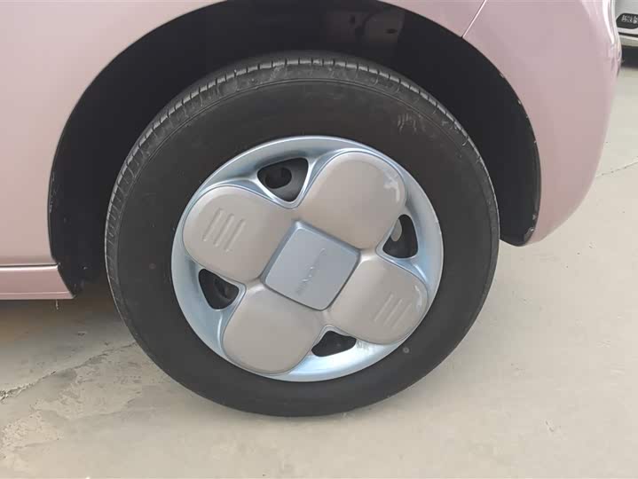 Geely Galaxy Panda Mini 2023 2023款 熊猫mini 200km 耐力熊