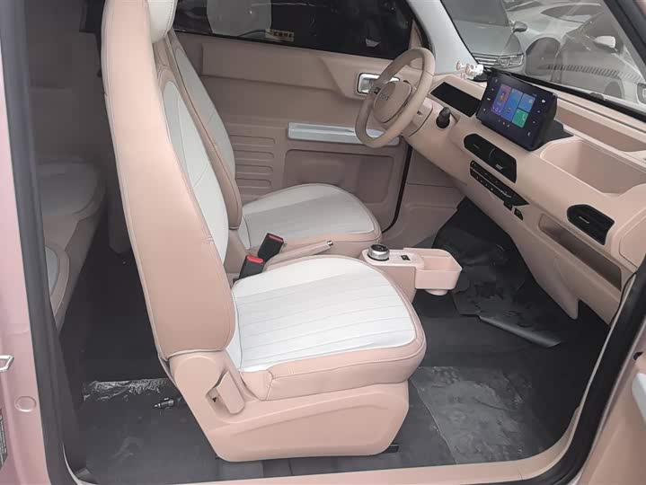 Geely Galaxy Panda Mini 2023 2023款 熊猫mini 200km 耐力熊