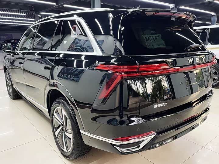 Wey Lanshan 2025 2025款 四驱 Max