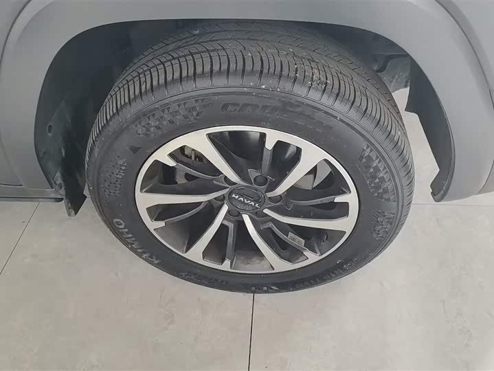Haval H9 2024 2024款 2.0T 汽油四驱极境版
