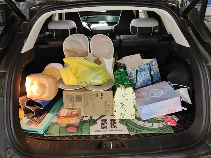 Changan Qiyuan (Nevo) Q05 2023 2023款 125 Pro