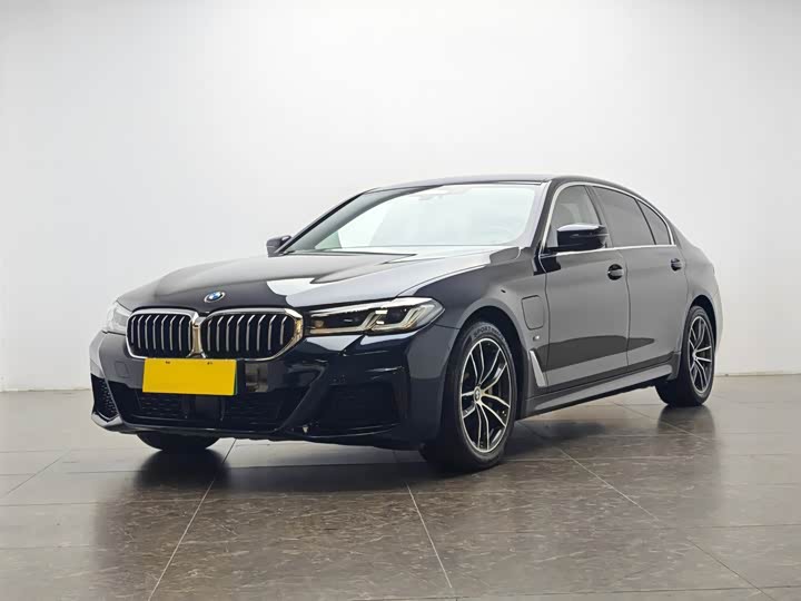 Фото 1 - BMW 5 Series Hybrid