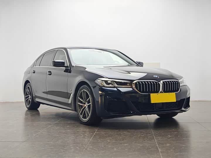 Фото 2 - BMW 5 Series Hybrid