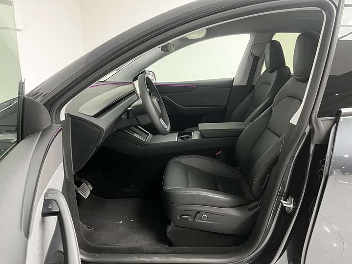 Tesla Model Y 2025 2025款 后轮驱动版