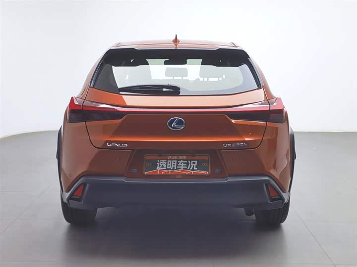 Lexus UX 2020 2020款 260h 探·趣版 国V