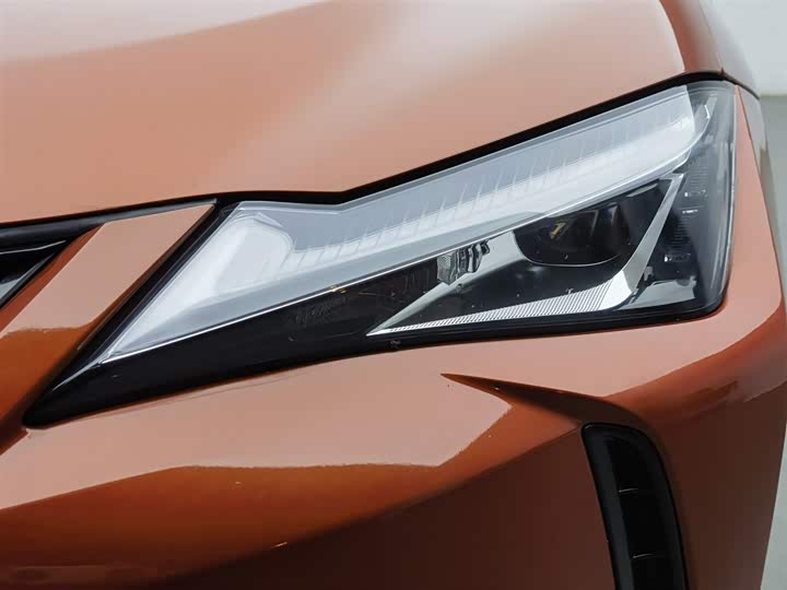 Lexus UX 2020 2020款 260h 探·趣版 国V