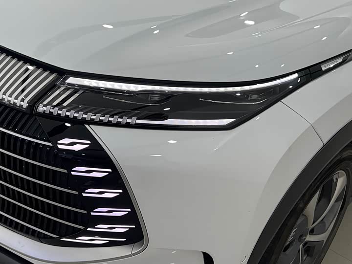 BYD Frigate 07 2024 2024款 荣耀版 DM-i 205KM 旗舰型