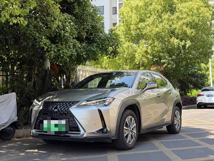 Lexus UX Hybrid 2020 2020款 300e 纯·悦版