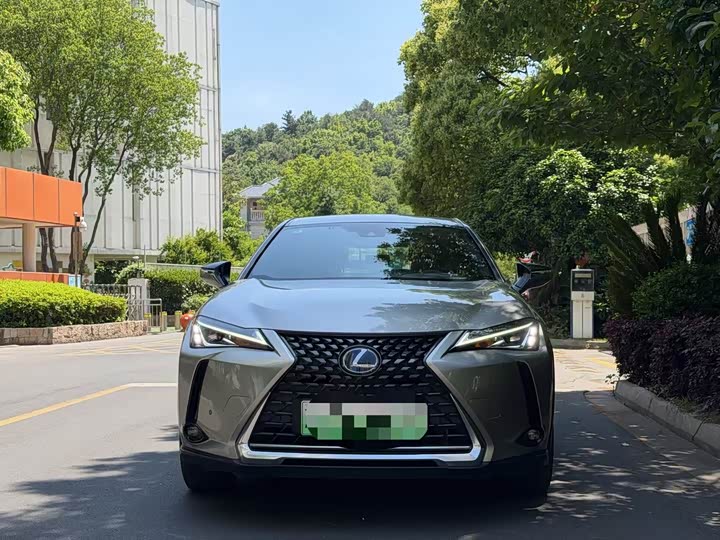 Lexus UX Hybrid 2020 2020款 300e 纯·悦版