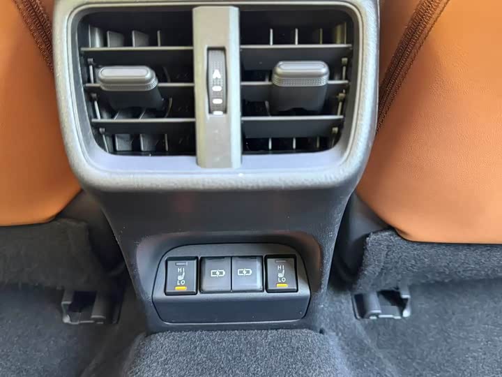 Lexus UX Hybrid 2020 2020款 300e 纯·悦版