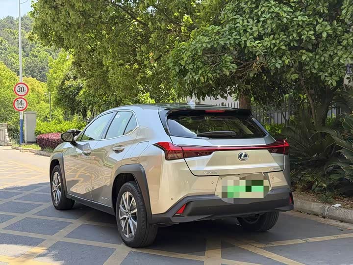 Lexus UX Hybrid 2020 2020款 300e 纯·悦版