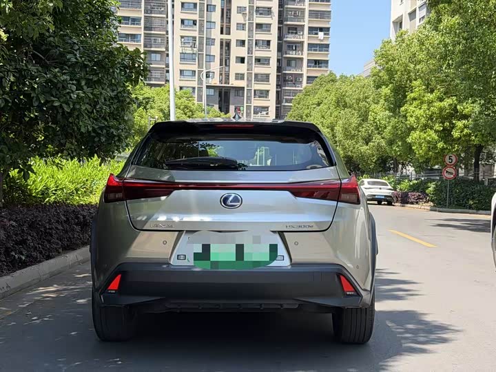 Lexus UX Hybrid 2020 2020款 300e 纯·悦版