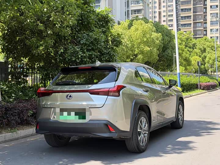 Lexus UX Hybrid 2020 2020款 300e 纯·悦版