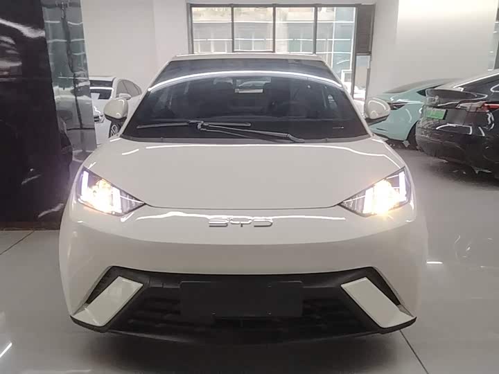 Фото 3 - BYD Seagull