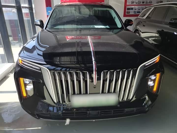 Hongqi E-HS9 2022 2022款 690km 旗享版 六座