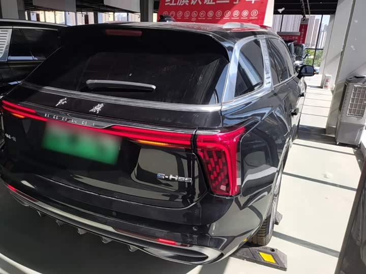 Hongqi E-HS9 2022 2022款 690km 旗享版 六座