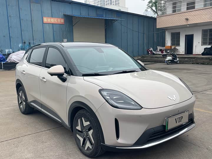 Wuling Bingo S 2025 2025款 430km 旗舰款
