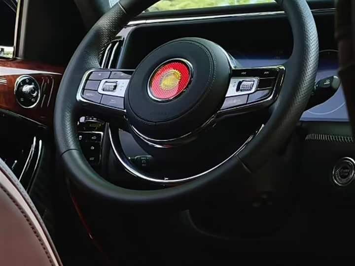 Hongqi LS7 (Guoyao) 2022 2022款 4.0T 尊爵旗舰版 4座