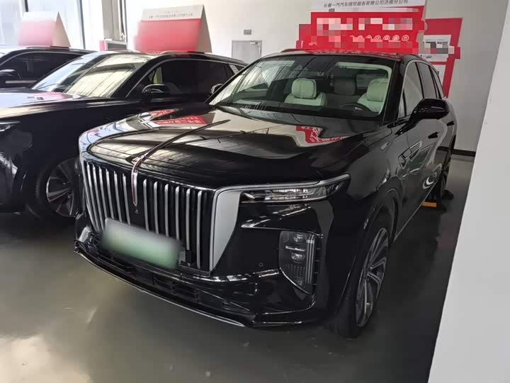 Hongqi E-HS9 2022 2022款 660km 旗领版 四座