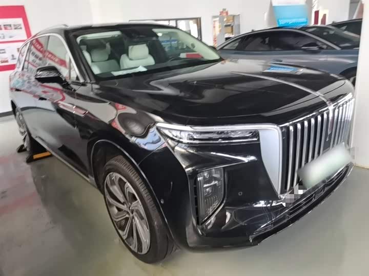 Hongqi E-HS9 2022 2022款 660km 旗领版 四座