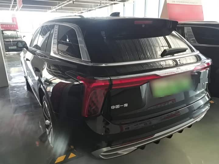 Hongqi E-HS9 2022 2022款 660km 旗领版 四座