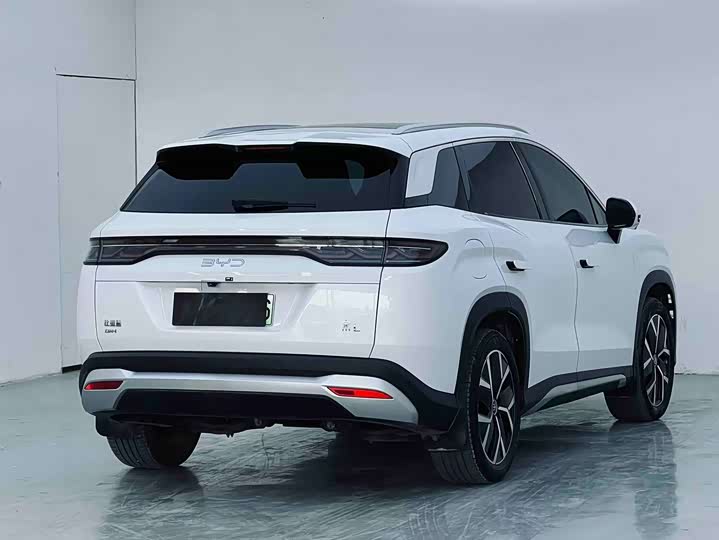 BYD Song L DM-i Hybrid 2024 2024款 160km 超越型