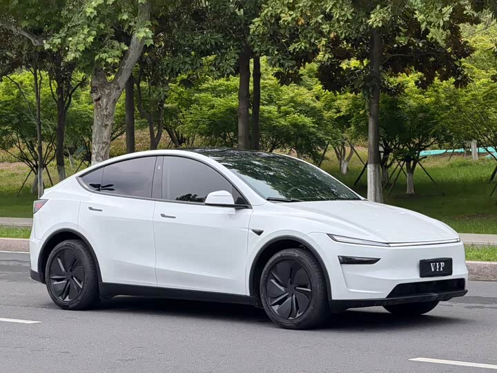 Tesla Model Y 2026 2026款 长续航后轮驱动版