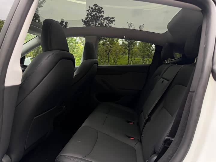 Tesla Model Y 2026 2026款 长续航后轮驱动版