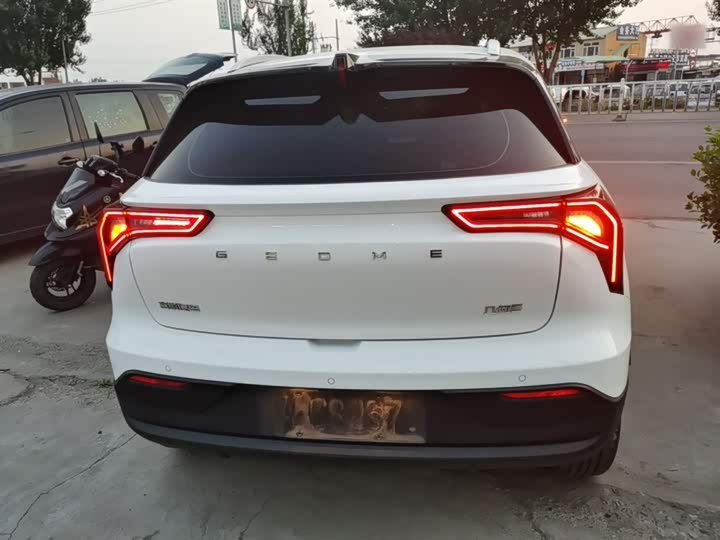 Geely Geometry E Firefly 2024 2024款 301km 星光