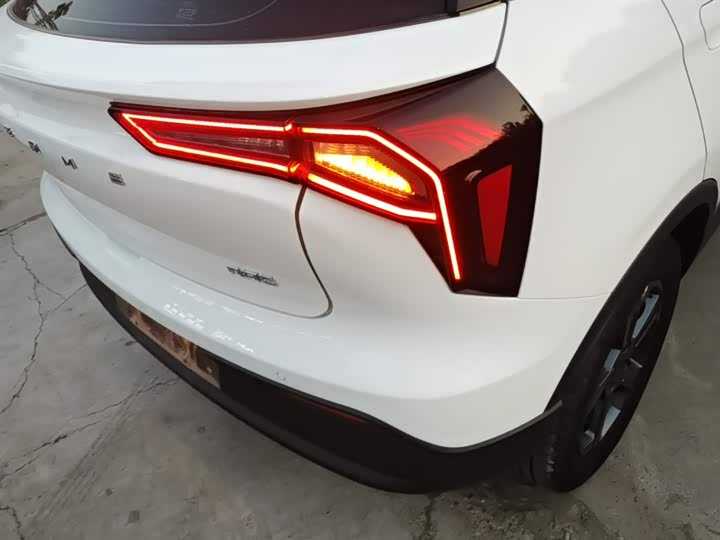 Geely Geometry E Firefly 2024 2024款 301km 星光