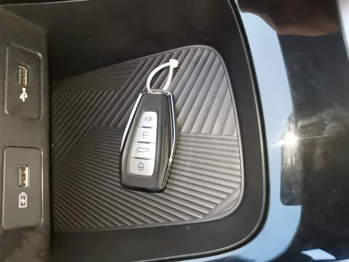 Geely Geometry E Firefly 2024 2024款 301km 星光