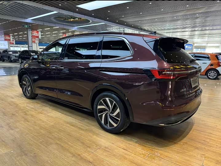 Фото 7 - Volkswagen Viloran