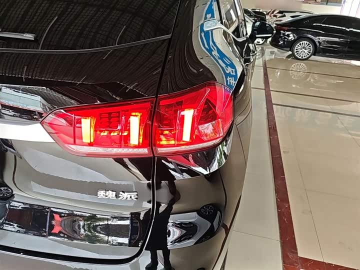 Wey VV5 2021 2021款 1.5T 两驱颜先锋