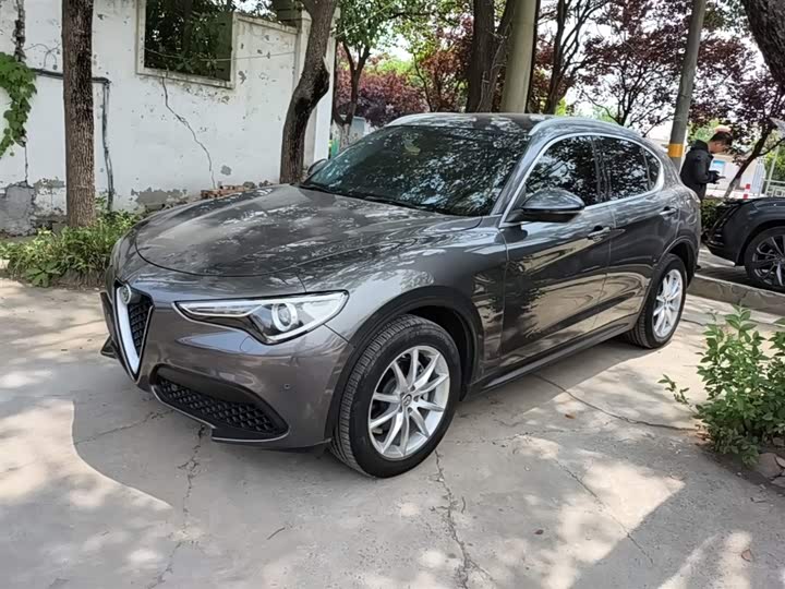 Alfa Romeo Stelvio 2020 2020款 2.0T 280HP 豪华版