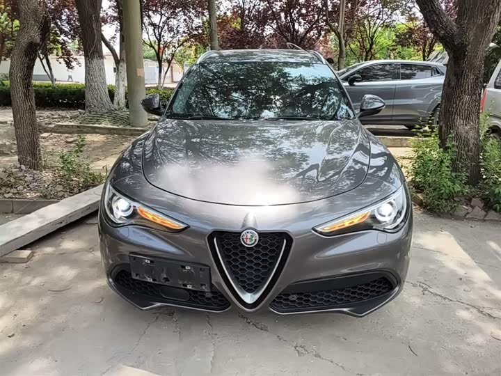 Alfa Romeo Stelvio 2020 2020款 2.0T 280HP 豪华版