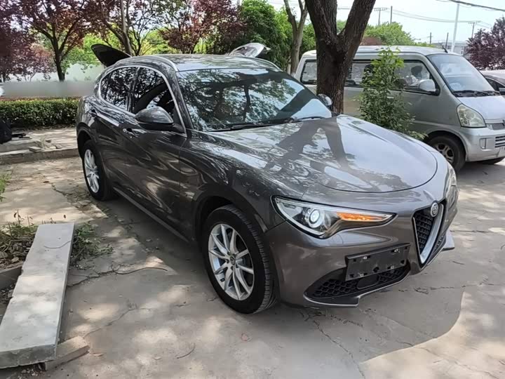 Alfa Romeo Stelvio 2020 2020款 2.0T 280HP 豪华版