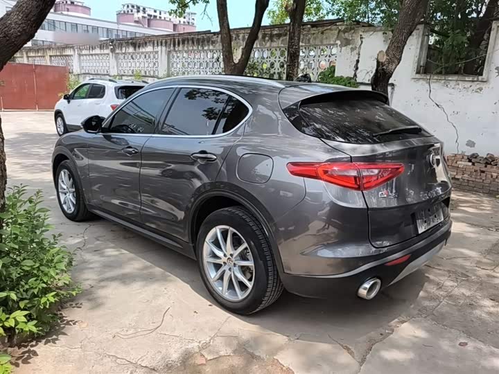 Alfa Romeo Stelvio 2020 2020款 2.0T 280HP 豪华版