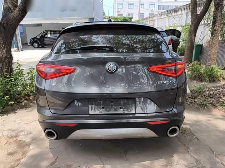 Alfa Romeo Stelvio 2020 2020款 2.0T 280HP 豪华版