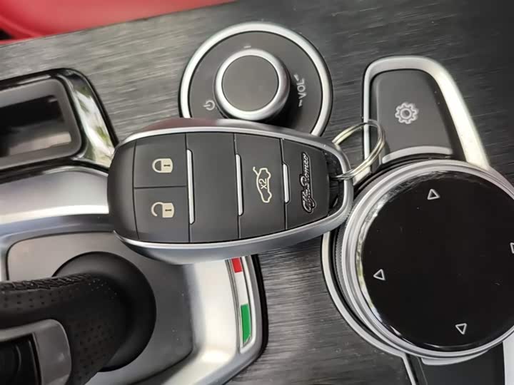 Alfa Romeo Stelvio 2020 2020款 2.0T 280HP 豪华版