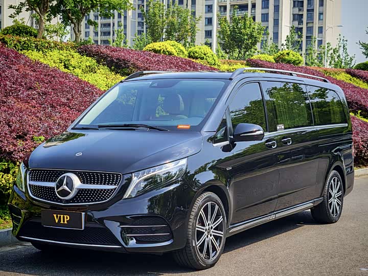 Mercedes-Benz V-Class 2022 2022款 V 260 L 长轴距豪华版