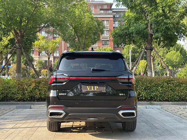 Geely Okavango L 2024 2024款 2.0T DCT旗舰型