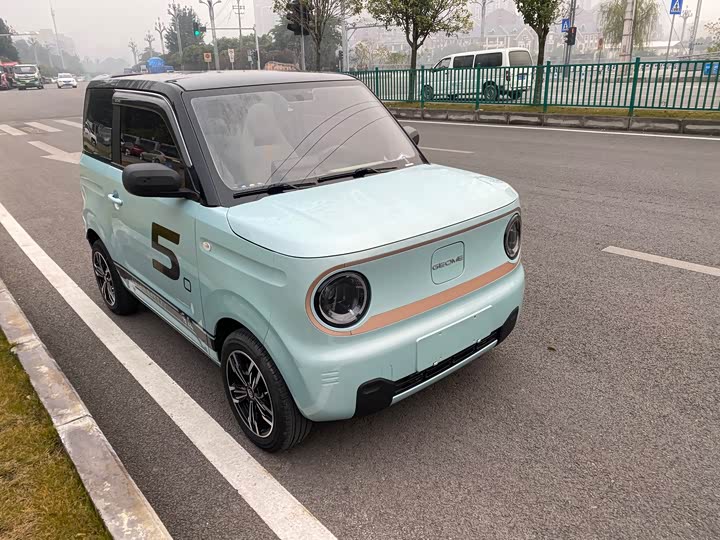 Geely Galaxy Panda Mini 2023 2023款 熊猫mini 200km 耐力熊